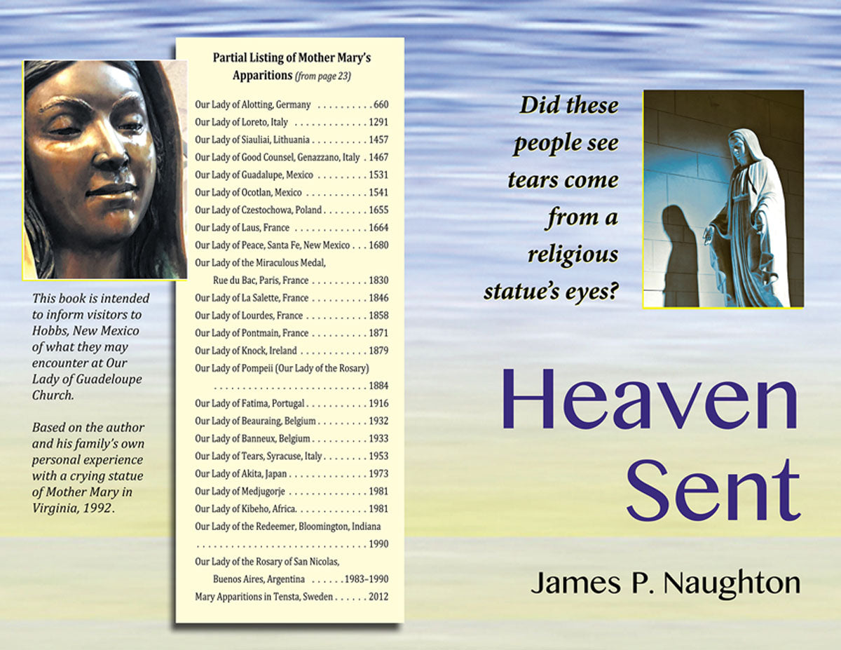 Heaven Sent: My Family's Remarkable Encounter with the Virgin Mary